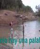 star apbt-esp star apbt-esp