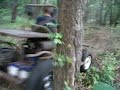 Buggy Buggy
