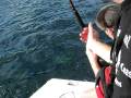 tuna fishing garza costa rica