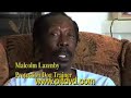 AMERICAN PIT BULL DOCUMENTARY DEMO
