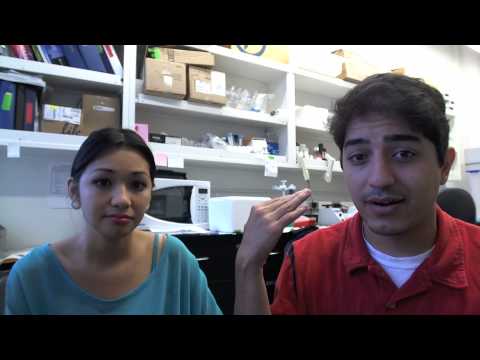 how to decide which medical schools to apply to