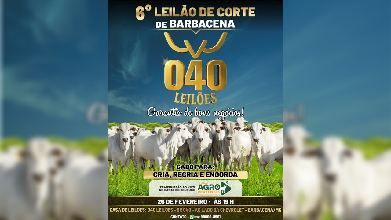 6º LEILÃO DE GADO DE CORTE PRESENCIAL E VIRTUAL 040 LEILÕES BARBACENA/MG - 26/02/2026