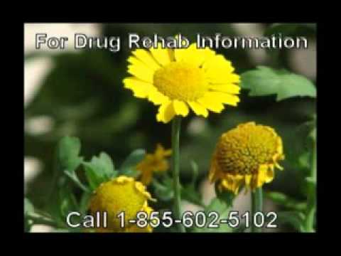 Top Holistic Drug Alcohol Rehab Center Near to State College