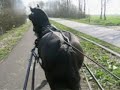 A ride through the village Vinkeveen with Hayke!!