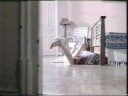 Trina Schweppes Commercial / Pat C.
