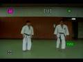 GENSEIRYU KARATE-O NANBEIKAI HONBU DOJO DO BRASIL