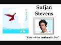 Year of the Asthmatic Cat - Sufjan Stevens