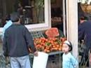 persimmons picking persimmons picking