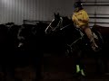 team penning