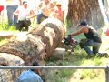 Loggers Jamboree Hot Saw Demo 2008