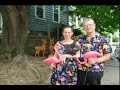 In this Paranormal Journeys we get weird... Weird Massachusetts, that is. Jeff Belanger takes you through the Bay State and his new book in a cable access talk show format. After an exhaustive search, we think we found the perfect host (we settled for the only guy who said he'd do it). Includes a segment with Dark Woods author, Chris Balzano. Part 1 of 3 - Paranormal Journeys with Jeff Belanger Weird Massachusetts 1