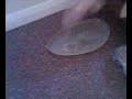 Water Condom: Part 1 - The Slinky