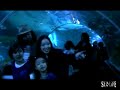 SEA LIFE Brighton – Virtual Tour