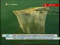 Reportaje Telemadrid