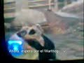 Halo 2 - Marines Inmortales Halo 2 - Marines Inmortales
