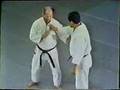 Kanae Hirata-Waki Gatame