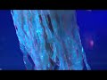 Sensation White 2008 - Fede Le Grand (Medusas) Sensation White 2008 - Fede Le Grand (Medusas)