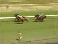 Streaker at a horse race