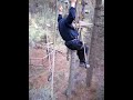 SAS Commando Forest Special Forces in Action