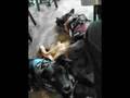 Border Collie video