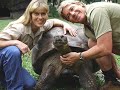 Re: A sad day for Australia..... A tribute to Steve Irwin