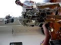 CRONOS: skeleton and muscles robot CRONOS: skeleton and muscles robot