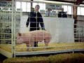 Chris Johnson sells numb-nuts for $3250!! Chris Johnson sells numb-nuts for $3250!!