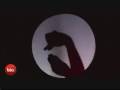 Unbelievable Shadow Puppetry