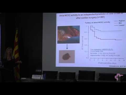 Seminar: Oxidative stress and atrial fibrillation (Prof. Barbara Casadei)