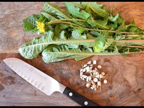 how to harvest dandelion