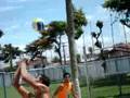voley-boll