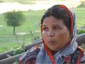 Fruitful journey of the fruit seller - Harina