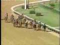 War Emblem - 2002 Kentucky Derby