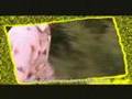 YouTube - Mero Hridaile by Darjeeling