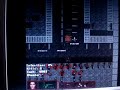 resident evil online 2