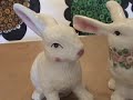 emiliebunny goes to pieces