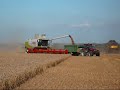 The 2007 Harvest