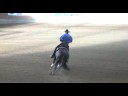 FEI World Reining Championship 2008, Anders Josefsson SWE