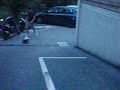 LE BESTIE-cazzate-casco scooter a calcetto