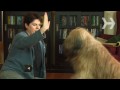 How to Teach Your Dog to High-Five