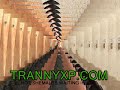 This tranny is so hot! She drives me crazy! Take a look in our site to see all brazilians shemales!