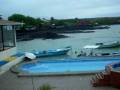 videos de Omer Galapagos