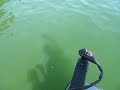 Bass Fishing Bass Fishing