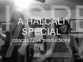 a halcali special