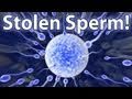Secret Family Birthed From Stolen Sperm!