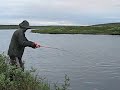 Vassen kuningas vs. Ristiinan kuningas part2 Vassen kuningas vs. Ristiinan kuningas part2