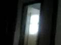 videos de La cucaracha en versión flauta