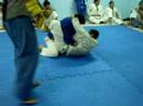 Campeonato de jiu jitsu