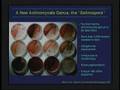 Marine Microorganisms: The Antibiotic Era Revisited