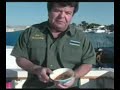 How to cook Bonita